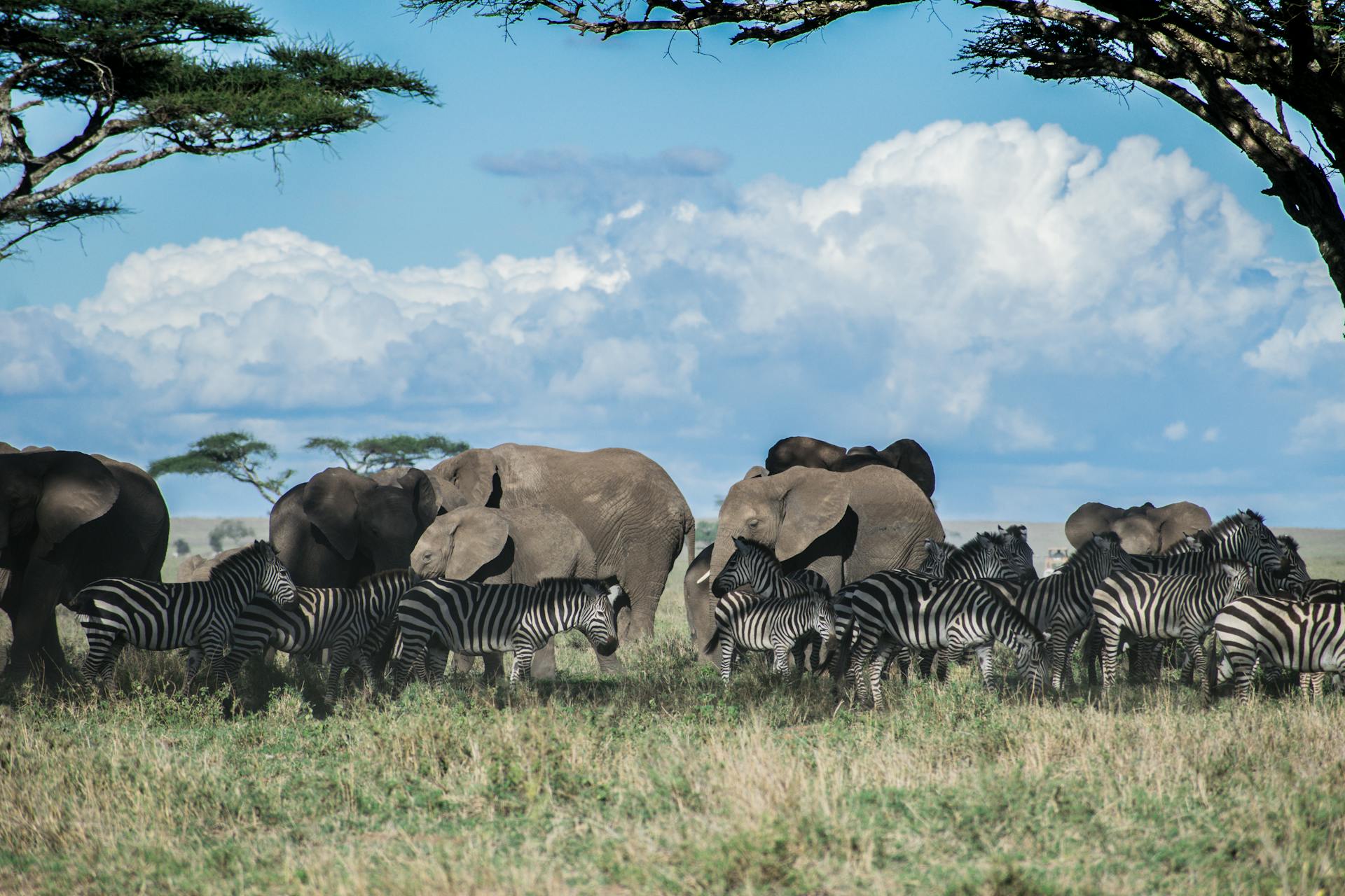 luna-di-miele-in-kenya